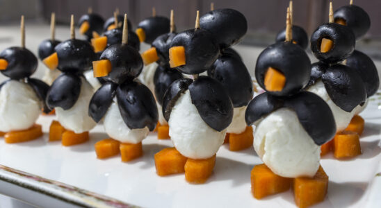 mozarella pinguin