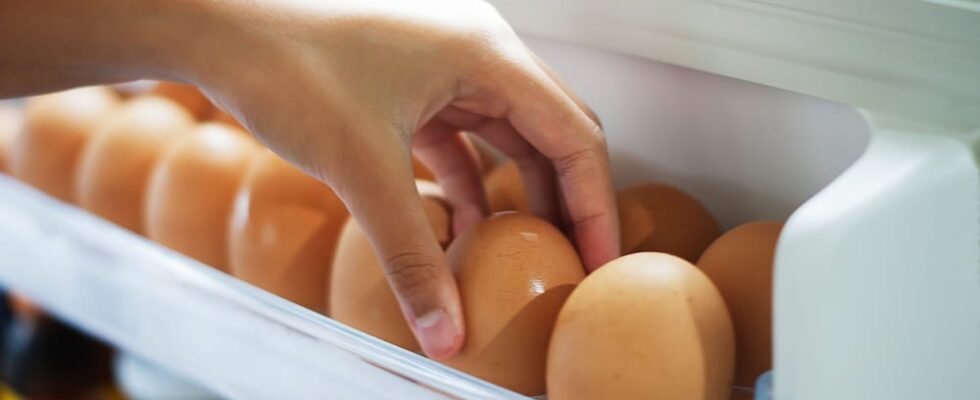 stout Persoonlijk Realistisch Waar moet je eieren bewaren? In de kast of koelkast? - ViaDomo
