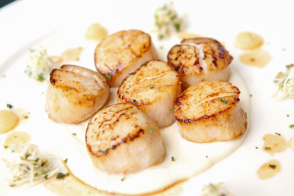 coquilles
