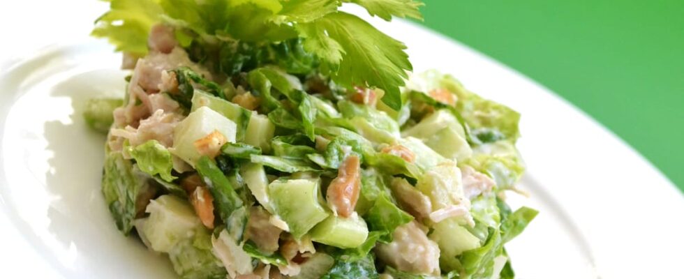 bleekselderij salade