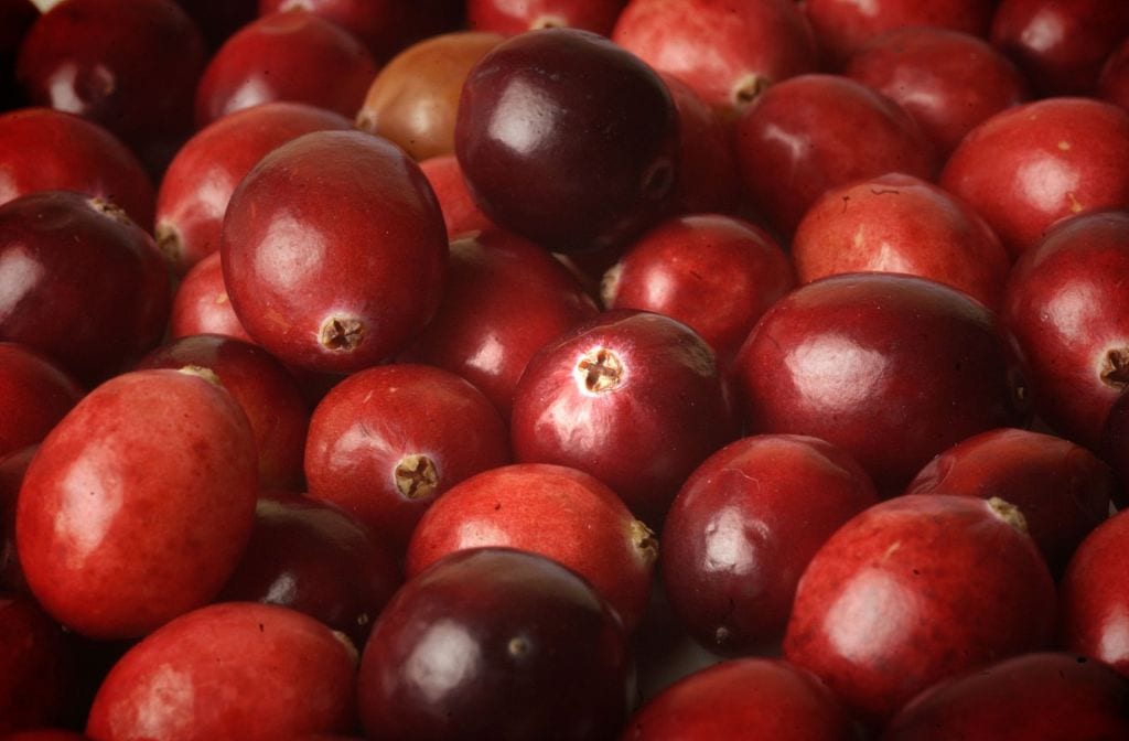De Cranberry. Welke vitamine zit er in en helpen ze tegen blaasontsteking?